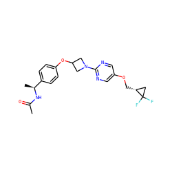 CC(=O)N[C@@H](C)c1ccc(OC2CN(c3ncc(OC[C@@H]4CC4(F)F)cn3)C2)cc1 ZINC000142232743
