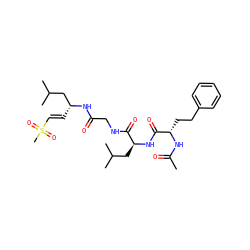 CC(=O)N[C@@H](CCc1ccccc1)C(=O)N[C@@H](CC(C)C)C(=O)NCC(=O)N[C@H](/C=C/S(C)(=O)=O)CC(C)C ZINC000036184900