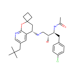 CC(=O)N[C@@H](Cc1ccc(Cl)cc1)[C@H](O)CN[C@H]1CC2(CCC2)Oc2ncc(CC(C)(C)C)cc21 ZINC000095571896