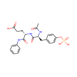 CC(=O)N[C@@H](Cc1ccc(OP(=O)(O)O)cc1)C(=O)N[C@@H](CCC(=O)O)C(=O)Nc1ccccc1 ZINC000013556653