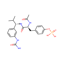 CC(=O)N[C@@H](Cc1ccc(OP(=O)(O)O)cc1)C(=O)N[C@H](c1cccc(NC(N)=O)c1)C(C)C ZINC000026725526