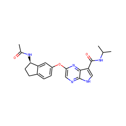 CC(=O)N[C@@H]1CCc2ccc(Oc3cnc4[nH]cc(C(=O)NC(C)C)c4n3)cc21 ZINC000096269457