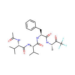 CC(=O)N[C@H](C(=O)N[C@H](C(=O)N[C@@H](Cc1ccccc1)C(=O)N[C@@H](C)C(=O)C(F)(F)F)C(C)C)C(C)C ZINC000013775840