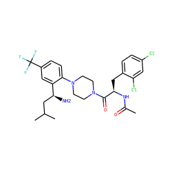 CC(=O)N[C@H](Cc1ccc(Cl)cc1Cl)C(=O)N1CCN(c2ccc(C(F)(F)F)cc2[C@@H](N)CC(C)C)CC1 ZINC000028825736