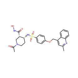 CC(=O)N1CC[C@@H](NS(=O)(=O)c2ccc(OCc3cc(C)nc4ccccc34)cc2)[C@@H](C(=O)NO)C1 ZINC000038212040