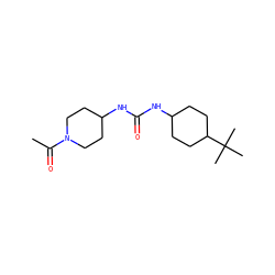 CC(=O)N1CCC(NC(=O)NC2CCC(C(C)(C)C)CC2)CC1 ZINC000066074700