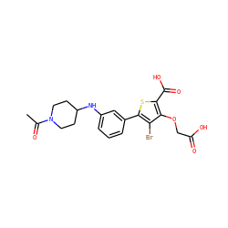 CC(=O)N1CCC(Nc2cccc(-c3sc(C(=O)O)c(OCC(=O)O)c3Br)c2)CC1 ZINC000028711539