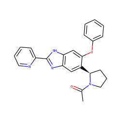 CC(=O)N1CCC[C@@H]1c1cc2nc(-c3ccccn3)[nH]c2cc1Oc1ccccc1 ZINC000043014182