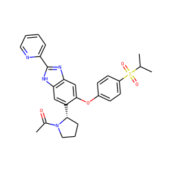 CC(=O)N1CCC[C@H]1c1cc2[nH]c(-c3ccccn3)nc2cc1Oc1ccc(S(=O)(=O)C(C)C)cc1 ZINC000043059965