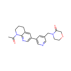 CC(=O)N1CCCc2cc(-c3cncc(CN4CCOCC4=O)c3)cnc21 ZINC001772617066