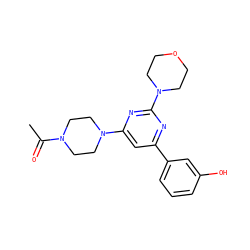 CC(=O)N1CCN(c2cc(-c3cccc(O)c3)nc(N3CCOCC3)n2)CC1 ZINC000064560059