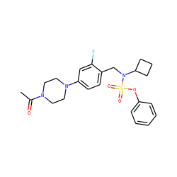 CC(=O)N1CCN(c2ccc(CN(C3CCC3)S(=O)(=O)Oc3ccccc3)c(F)c2)CC1 ZINC000169710361