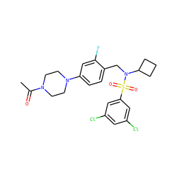 CC(=O)N1CCN(c2ccc(CN(C3CCC3)S(=O)(=O)c3cc(Cl)cc(Cl)c3)c(F)c2)CC1 ZINC000143841700