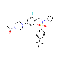 CC(=O)N1CCN(c2ccc(CN(C3CCC3)S(=O)(=O)c3ccc(C(C)(C)C)cc3)c(F)c2)CC1 ZINC000143892713