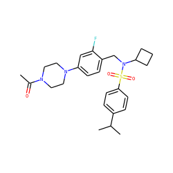 CC(=O)N1CCN(c2ccc(CN(C3CCC3)S(=O)(=O)c3ccc(C(C)C)cc3)c(F)c2)CC1 ZINC000147280959