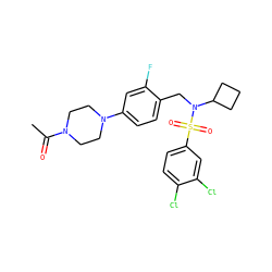 CC(=O)N1CCN(c2ccc(CN(C3CCC3)S(=O)(=O)c3ccc(Cl)c(Cl)c3)c(F)c2)CC1 ZINC000143940195