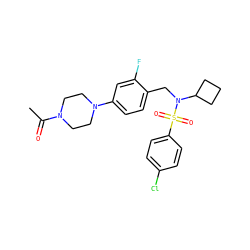 CC(=O)N1CCN(c2ccc(CN(C3CCC3)S(=O)(=O)c3ccc(Cl)cc3)c(F)c2)CC1 ZINC000147265248