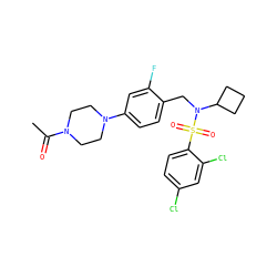CC(=O)N1CCN(c2ccc(CN(C3CCC3)S(=O)(=O)c3ccc(Cl)cc3Cl)c(F)c2)CC1 ZINC000147261472