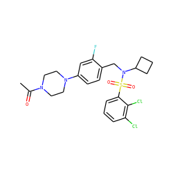 CC(=O)N1CCN(c2ccc(CN(C3CCC3)S(=O)(=O)c3cccc(Cl)c3Cl)c(F)c2)CC1 ZINC000147283877