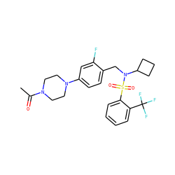 CC(=O)N1CCN(c2ccc(CN(C3CCC3)S(=O)(=O)c3ccccc3C(F)(F)F)c(F)c2)CC1 ZINC000147272763