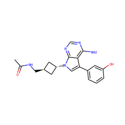 CC(=O)NC[C@H]1C[C@H](n2cc(-c3cccc(O)c3)c3c(N)ncnc32)C1 ZINC001772589774