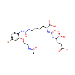 CC(=O)NCCOc1cc(Br)ccc1NC(=O)NCCCC[C@H](NC(=O)N[C@@H](CCC(=O)O)C(=O)O)C(=O)O ZINC000209964585