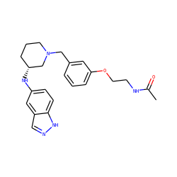 CC(=O)NCCOc1cccc(CN2CCC[C@@H](Nc3ccc4[nH]ncc4c3)C2)c1 ZINC000114035762