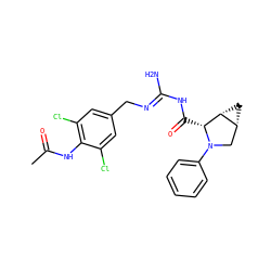 CC(=O)Nc1c(Cl)cc(C/N=C(\N)NC(=O)[C@@H]2[C@@H]3C[C@@H]3CN2c2ccccc2)cc1Cl ZINC000142847068