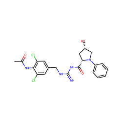CC(=O)Nc1c(Cl)cc(CNC(=N)NC(=O)[C@@H]2C[C@H](O)CN2c2ccccc2)cc1Cl ZINC000473155048
