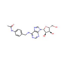 CC(=O)Nc1ccc(CNc2ncnc3c2ncn3[C@@H]2O[C@H](CO)[C@@H](O)[C@H]2O)cc1 ZINC000029059480