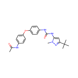 CC(=O)Nc1ccc(Oc2ccc(NC(=O)Nc3cc(C(C)(C)C)nn3C)cc2)cc1 ZINC000013442515