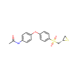 CC(=O)Nc1ccc(Oc2ccc(S(=O)(=O)C[C@@H]3CS3)cc2)cc1 ZINC000034776063