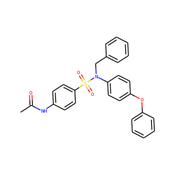 CC(=O)Nc1ccc(S(=O)(=O)N(Cc2ccccc2)c2ccc(Oc3ccccc3)cc2)cc1 ZINC001772584395