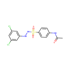 CC(=O)Nc1ccc(S(=O)(=O)NNc2cc(Cl)cc(Cl)c2)cc1 ZINC000299838697