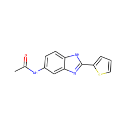 CC(=O)Nc1ccc2[nH]c(-c3cccs3)nc2c1 ZINC000004643259