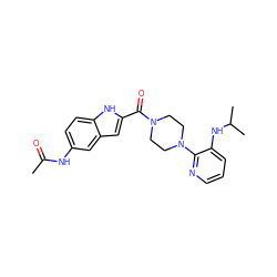 CC(=O)Nc1ccc2[nH]c(C(=O)N3CCN(c4ncccc4NC(C)C)CC3)cc2c1 ZINC000005963010