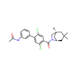 CC(=O)Nc1cccc(-c2cc(Cl)c(C(=O)N3C[C@]4(C)C[C@H]3CC(C)(C)C4)cc2Cl)c1 ZINC000049035297