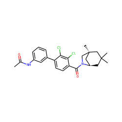 CC(=O)Nc1cccc(-c2ccc(C(=O)N3C[C@]4(C)C[C@H]3CC(C)(C)C4)c(Cl)c2Cl)c1 ZINC000049035000