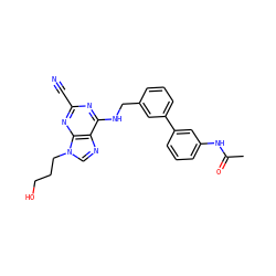 CC(=O)Nc1cccc(-c2cccc(CNc3nc(C#N)nc4c3ncn4CCCO)c2)c1 ZINC000045257480