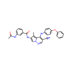 CC(=O)Nc1cccc(C(=O)Nc2cn3ncc(C#N)c(Nc4ccc(Oc5ccccc5)cc4)c3c2C)c1 ZINC000028569432