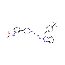 CC(=O)Nc1cccc(C2CCN(CCCNc3nc4ccccc4n3Cc3ccc(C(C)(C)C)cc3)CC2)c1 ZINC000058592459
