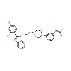 CC(=O)Nc1cccc(C2CCN(CCCn3c(-c4ccc(Cl)cc4Cl)nc4ccccc43)CC2)c1 ZINC000071329185