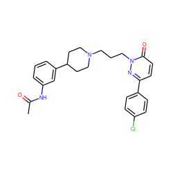 CC(=O)Nc1cccc(C2CCN(CCCn3nc(-c4ccc(Cl)cc4)ccc3=O)CC2)c1 ZINC000073222630