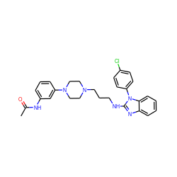 CC(=O)Nc1cccc(N2CCN(CCCNc3nc4ccccc4n3-c3ccc(Cl)cc3)CC2)c1 ZINC000058583337