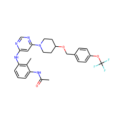 CC(=O)Nc1cccc(Nc2cc(N3CCC(OCc4ccc(OC(F)(F)F)cc4)CC3)ncn2)c1C ZINC000072141195
