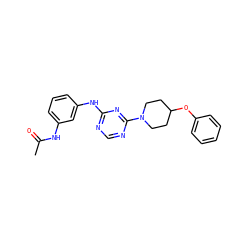 CC(=O)Nc1cccc(Nc2ncnc(N3CCC(Oc4ccccc4)CC3)n2)c1 ZINC000072107695