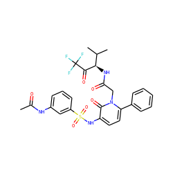 CC(=O)Nc1cccc(S(=O)(=O)Nc2ccc(-c3ccccc3)n(CC(=O)N[C@@H](C(=O)C(F)(F)F)C(C)C)c2=O)c1 ZINC000027073277