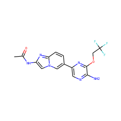CC(=O)Nc1cn2cc(-c3cnc(N)c(OCC(F)(F)F)n3)ccc2n1 ZINC000145311749