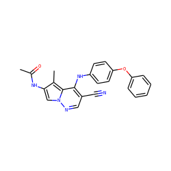 CC(=O)Nc1cn2ncc(C#N)c(Nc3ccc(Oc4ccccc4)cc3)c2c1C ZINC000028567969