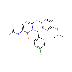 CC(=O)Nc1cnc(Nc2ccc(OC(C)C)c(F)c2)n(Cc2ccc(Cl)cc2)c1=O ZINC000204089590